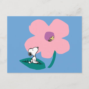 Peanuts Illustrating Nature Pink Flower Postcard