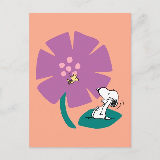 Peanuts | Illustrating Nature Purple Flower Postcard (Front)