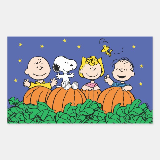 Peanuts | It's The Great Pumpkin Charlie Brown Rectangular Sticker (Front)