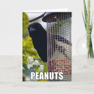Peanuts Or Cake Magpie Birthday Card