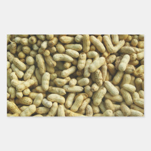 Peanuts Rectangular Sticker