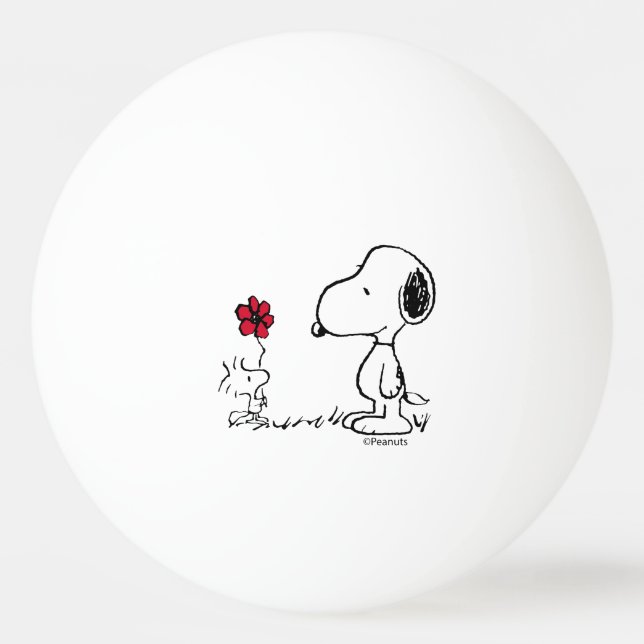 PEANUTS | Red & Black Pattern Ping Pong Ball (Front)