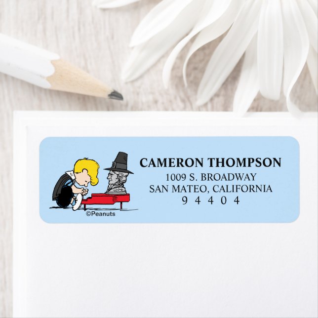 Peanuts | Schroeder Pilgrim (Insitu)