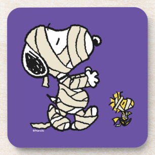 Peanuts Snoopy and Woodstock Mummies Coaster