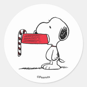 Peanuts Snoopy Candy Cane Food Dish Classic Round Sticker