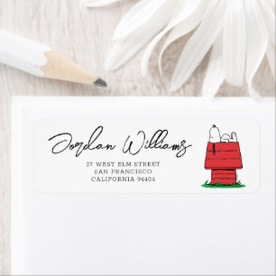 Peanuts Snoopy Dog House Baby Shower