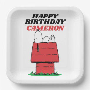 Peanuts Snoopy Dog House Birthday Paper Plate
