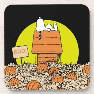 Peanuts Snoopy Napping in the Pumpkin Patch Coaster