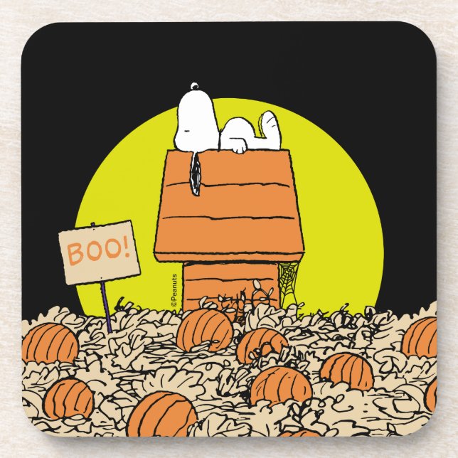 Peanuts | Snoopy Napping in the Pumpkin Patch Coaster (Front)