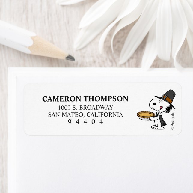 Peanuts | Snoopy Pilgrim (Insitu)