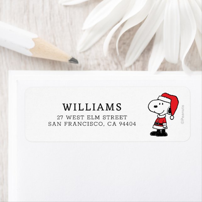 Peanuts | Snoopy Santa Claus (Insitu)
