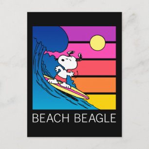 Peanuts   Snoopy Surfing Postcard