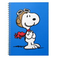 Peanuts | Snoopy The Flying Ace