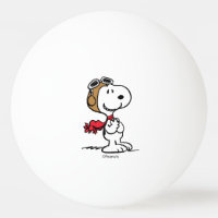 Peanuts | Snoopy The Flying Ace