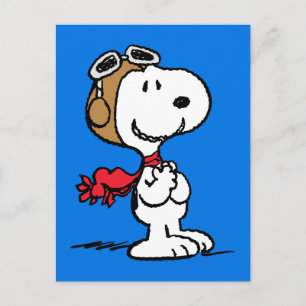 Peanuts   Snoopy The Flying Ace Postcard