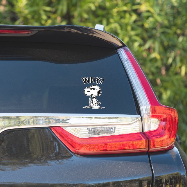 Peanuts | Snoopy Wonders Why? (Car Side)