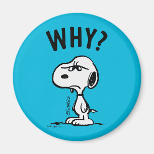 Peanuts   Snoopy Wonders Why? Magnet