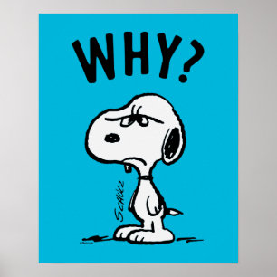 Peanuts Snoopy Wonders Why? Poster
