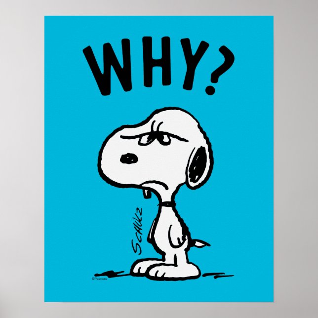 Peanuts | Snoopy Wonders Why? Poster (Front)