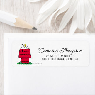 Peanuts | Snoopy & Woodstock Doghouse