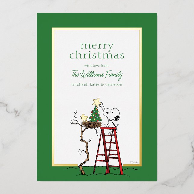 Peanuts | Snoopy & Woodstock Family Photo Foil Holiday Card (Front)