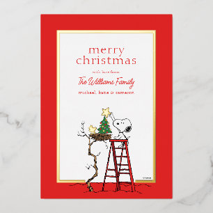 Peanuts Snoopy & Woodstock Family Photo Foil Holiday Card