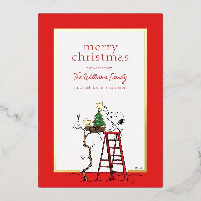 Peanuts | Snoopy & Woodstock Family Photo Foil Holiday Card (Front)