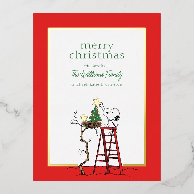 Peanuts | Snoopy & Woodstock Family Photo Foil Holiday Postcard (Front)