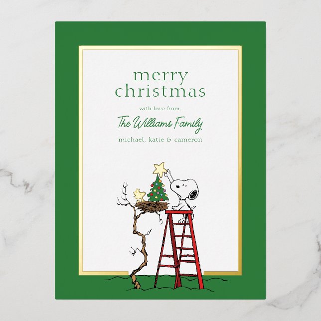Peanuts | Snoopy & Woodstock Family Photo Foil Holiday Postcard (Front)