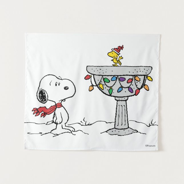Peanuts | Snoopy & Woodstock Frozen Birdbath Tapestry (Front (Horizontal))