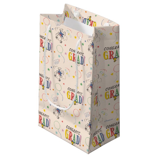Peanuts Snoopy Woodstock Graduation Small Gift Bag (Front Angled)