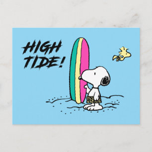 Peanuts   Snoopy & Woodstock High Tide Postcard
