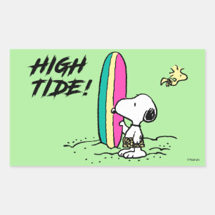 Peanuts   Snoopy & Woodstock High Tide Rectangular Sticker
