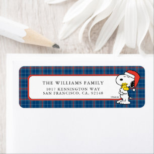 Peanuts   Snoopy & Woodstock Holiday Hugs