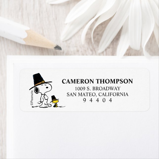 Peanuts | Snoopy & Woodstock Pilgrim (Insitu)