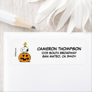 Peanuts Snoopy & Woodstock Pop-up Pumpkin