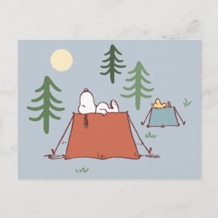 Peanuts   Snoopy & Woodstock Postcard