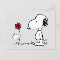Peanuts | Snoopy & Woodstock Red & Black