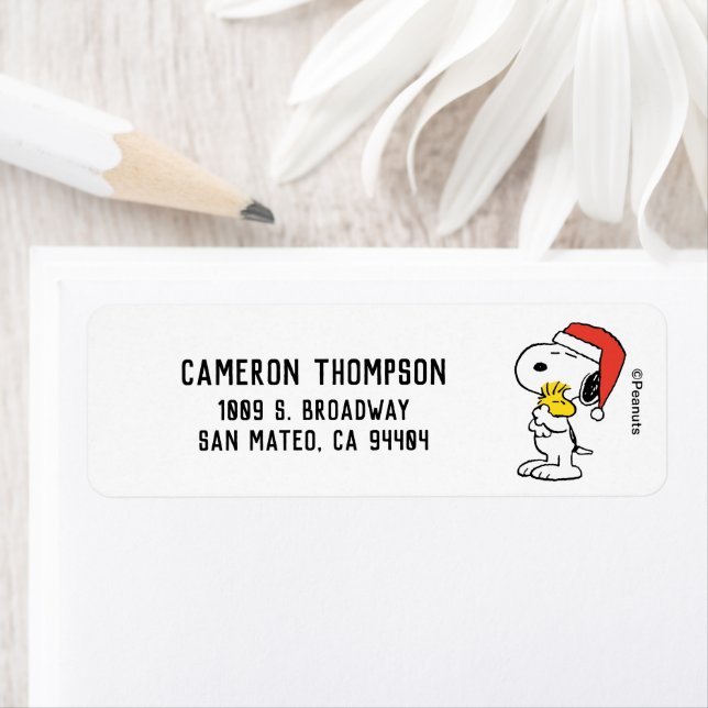 Peanuts | Snoopy & Woodstock Santa Claus Hug (Insitu)