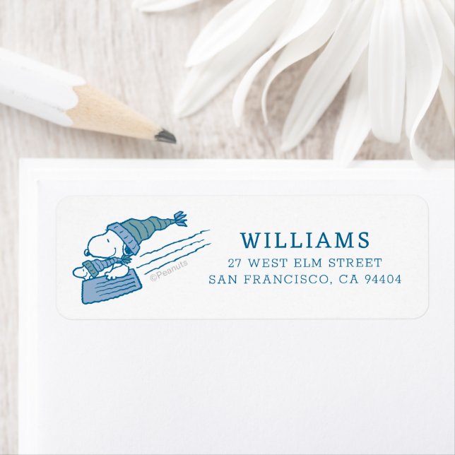 Peanuts | Snoopy & Woodstock Sledding (Insitu)