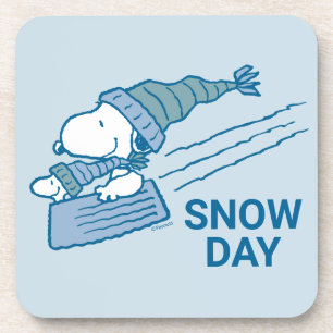 Peanuts Snoopy & Woodstock Sledding Coaster