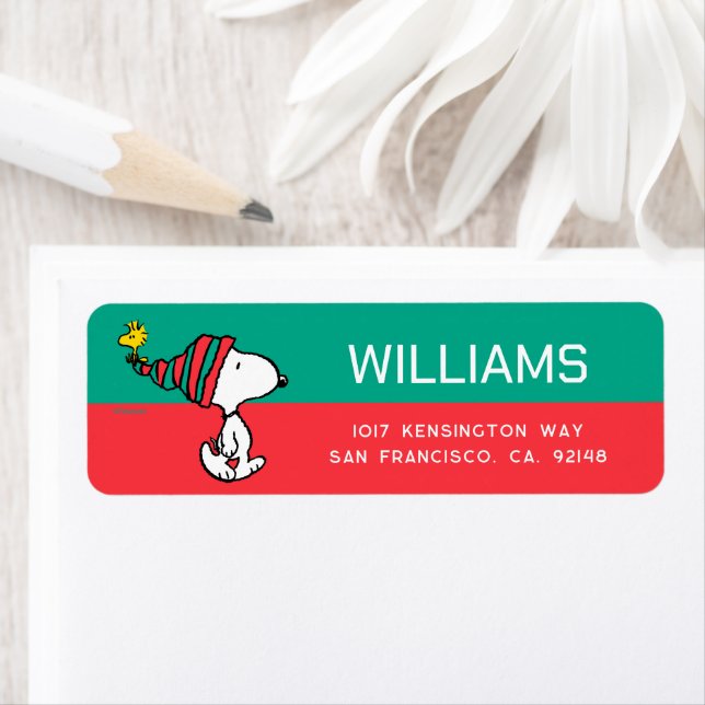 Peanuts | Snoopy & Woodstock Warm Wishes (Insitu)