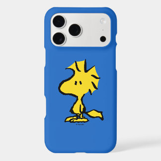 Peanuts | Snoopy's Friend Woodstock