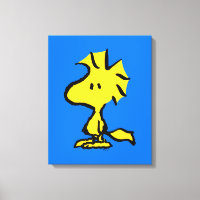 Peanuts | Snoopy's Friend Woodstock
