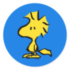 Peanuts | Snoopy's Friend Woodstock