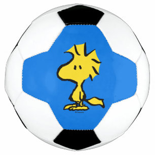 Peanuts   Snoopy's Friend Woodstock Football