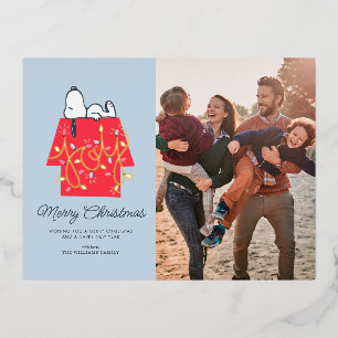 Peanuts   Snoopy's Holiday Dreamer Family Photo