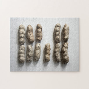 Peanuts Still Life Fine Art Photograph Jigsaw Puzzle