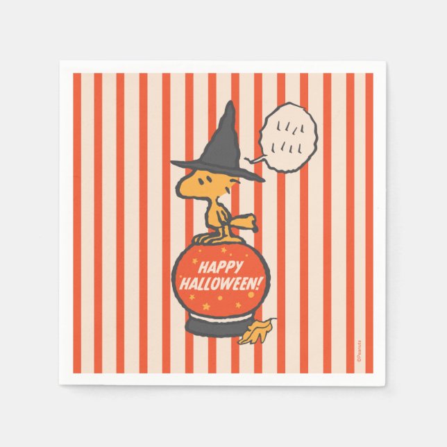Peanuts | Vintage Woodstock Witch Stripes Napkin (Front)