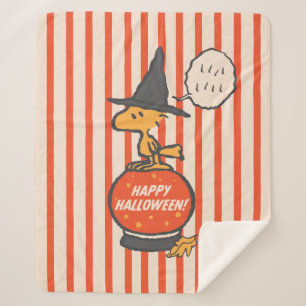 Peanuts Vintage Woodstock Witch Stripes Sherpa Blanket